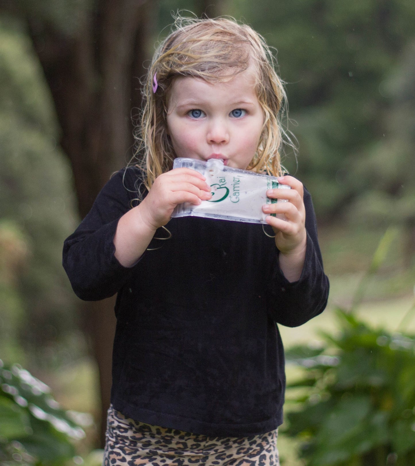 Kai Carrier 140ml Pouch - 5 pack