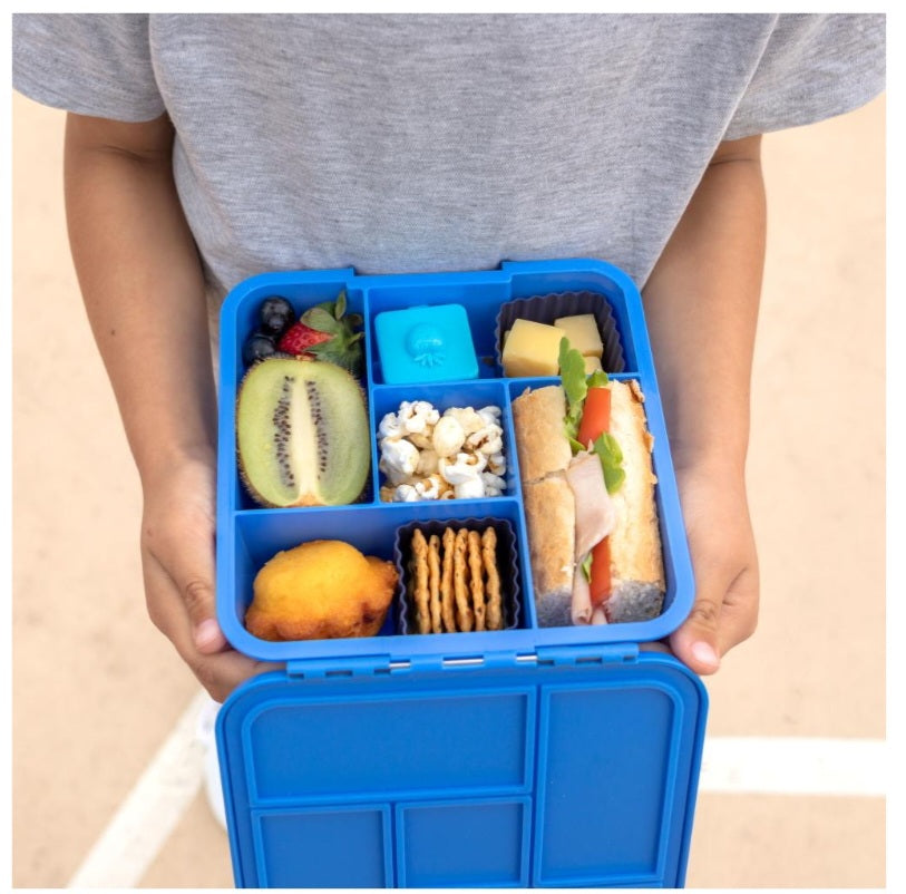 Little Lunch Box Co Bento Five - Blueberry